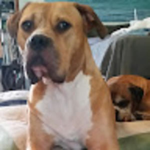 Meet your Posher, Aaron